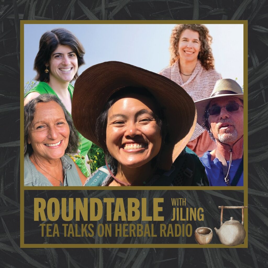 Sustainably Foraging So-Cal | Tea Talks Roundtable