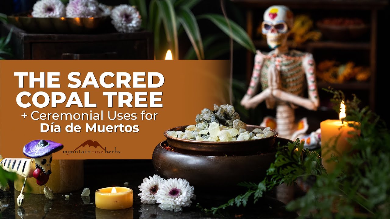 The Sacred Copal Tree + Ceremonial Uses for Día de Muertos