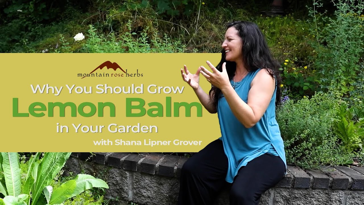 Why You Should Grow Lemon Balm in Your Garden