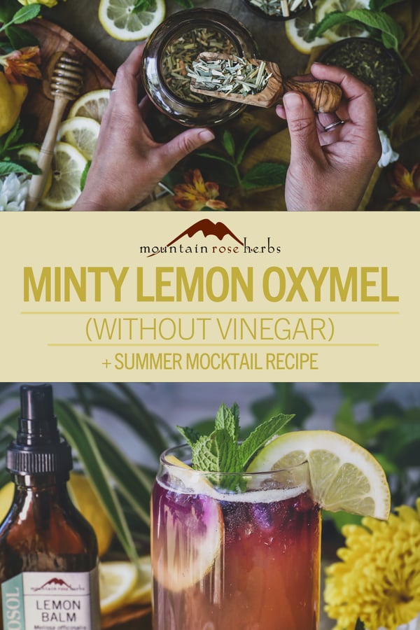 Minty Lemongrass Oxymel (Without Vinegar) & Summer Mocktail Recipe
