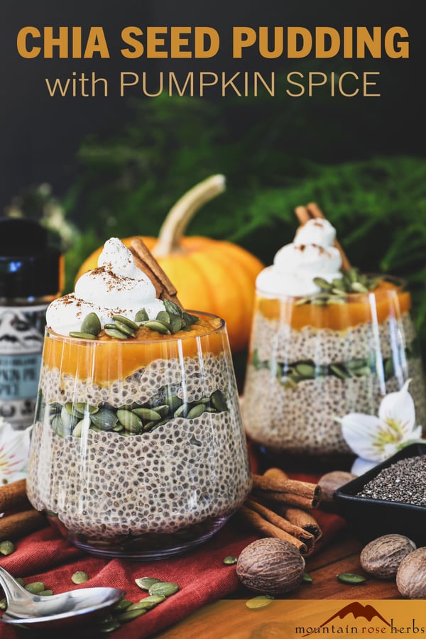 Chia Seed Pudding Recipe With Pumpkin Spice